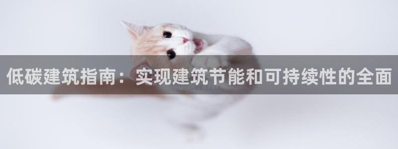 e尊国际是干什么的：低碳建筑指南：实现建筑节能和可持续性的全面