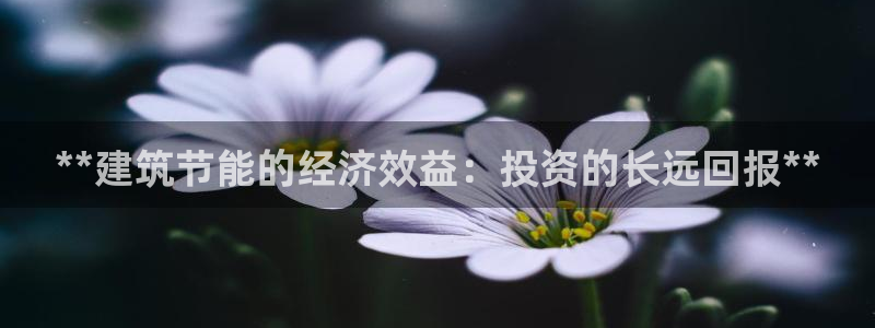 E尊国际网站：**建筑节能的经济效益：投资的长远回报**