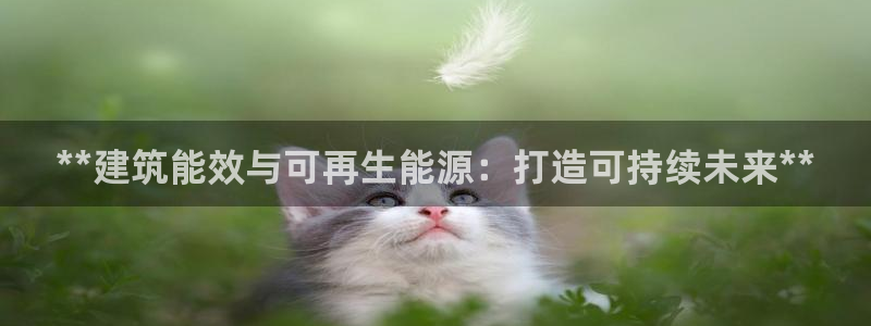 e尊国际app：**建筑能效与可再生能源：打造可持续未来**