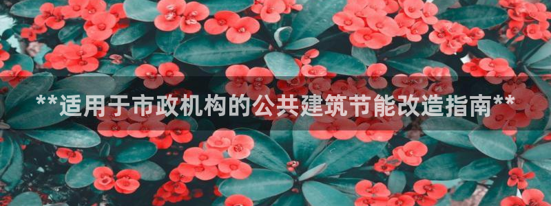 e尊国际客户端：**适用于市政机构的公共建筑节能改造指南**