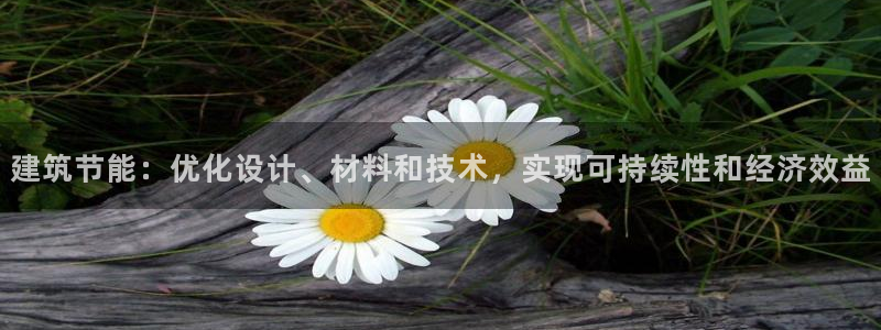 E尊国际网站：建筑节能：优化设计、材料和技术，实现可持续性和经济效益