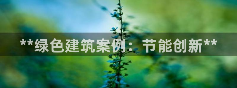 E尊国际：**绿色建筑案例：节能创新**