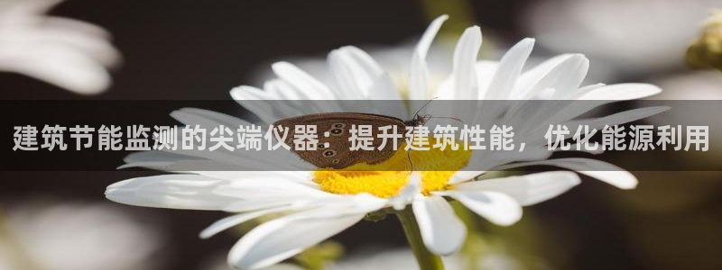 e尊国际是干什么的：建筑节能监测的尖端仪器：提升建筑性能，优化能源利用