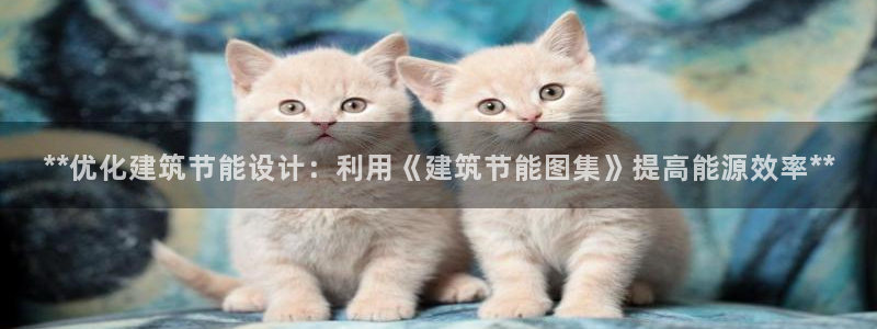 e尊国际官网：**优化建筑节能设计：利用《建筑节能图集》提高能源效率**