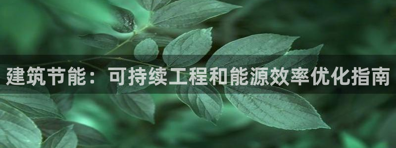 尊亿娱乐国际官网：建筑节能：可持续工程和能源效率优化指南