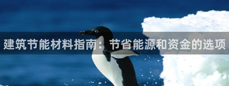 e尊电竞：建筑节能材料指南：节省能源和资金的选项