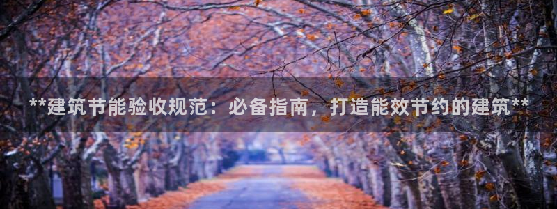 e尊国际娱乐官网地址：**建筑节能验收规范：必备指南，打造能效节约的建筑**