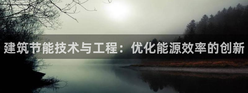 e尊国际app：建筑节能技术与工程：优化能源效率的创新