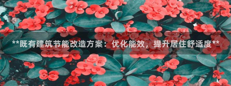 尊亿游戏国际官网：**既有建筑节能改造方案：优化能效，提升居住舒适度**