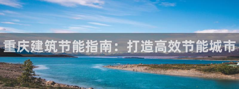 e尊国际的手机登录网站：重庆建筑节能指南：打造高效节能城市