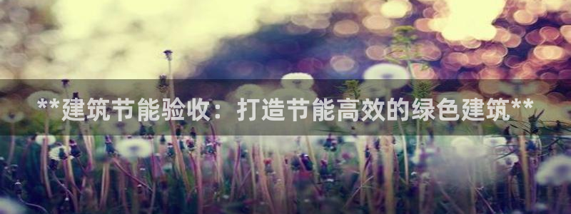 e尊国际平台：**建筑节能验收：打造节能高效的绿色建筑**