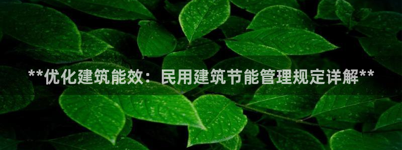 e尊国际app：**优化建筑能效：民用建筑节能管理规定详解**