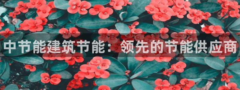 e尊官网：中节能建筑节能：领先的节能供应商