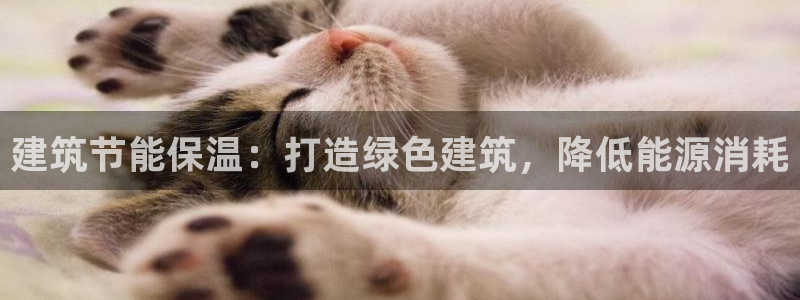 e尊国际官网：建筑节能保温：打造绿色建筑，降低能源消耗