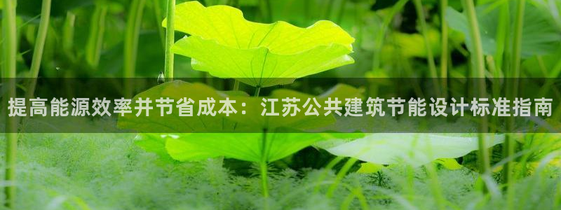 e尊国际-e尊国际官网：提高能源效率并节省成本：江苏公共建筑节能设计标准指南