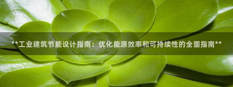 e尊国际app：**工业建筑节能设计指南：优化能源效率和可持续性的全面指南**