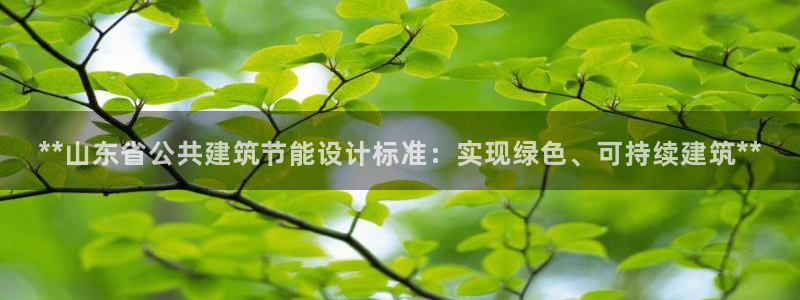 e尊国际平台：**山东省公共建筑节能设计标准：实现绿色、可持续建筑**