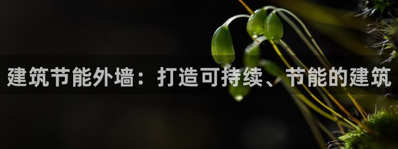 e尊国际平台：建筑节能外墙：打造可持续、节能的建筑