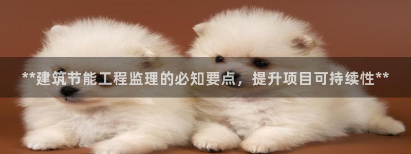 e尊国际的手机登录网站：**建筑节能工程监理的必知要点，提升项目可持续性**