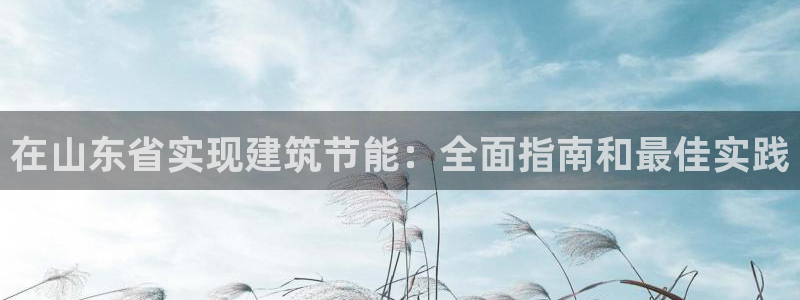 e尊国际平台：在山东省实现建筑节能：全面指南和最佳实践