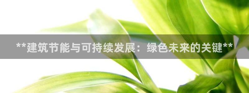 e尊国际娱乐官网地址：**建筑节能与可持续发展：绿色未来的关键**