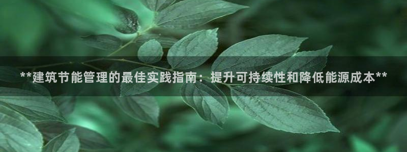 e尊国际-可可计划：**建筑节能管理的最佳实践指南：提升可持续性和降低能源成本**