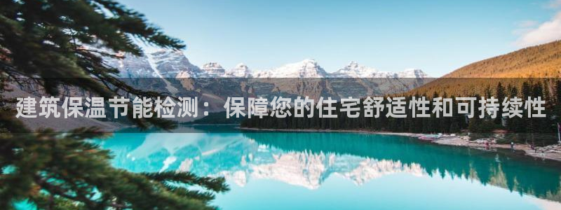 e尊国际7779：建筑保温节能检测：保障您的住宅舒适性和可持续性