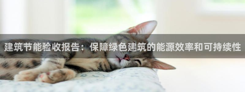 e尊国际-e尊国际官网：建筑节能验收报告：保障绿色建筑的能源效率和可持续性