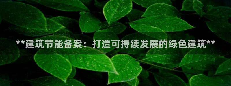 E尊国际：**建筑节能备案：打造可持续发展的绿色建筑**