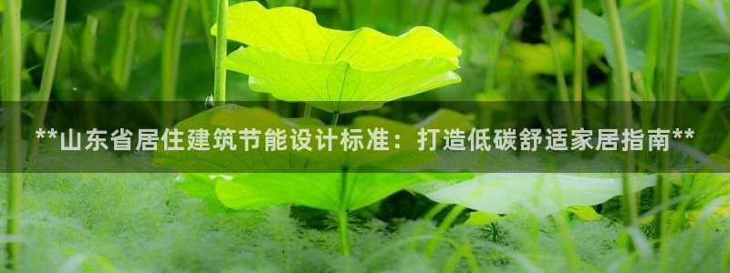 e尊国际官方网站：**山东省居住建筑节能设计标准：打造低碳舒适家居指南**