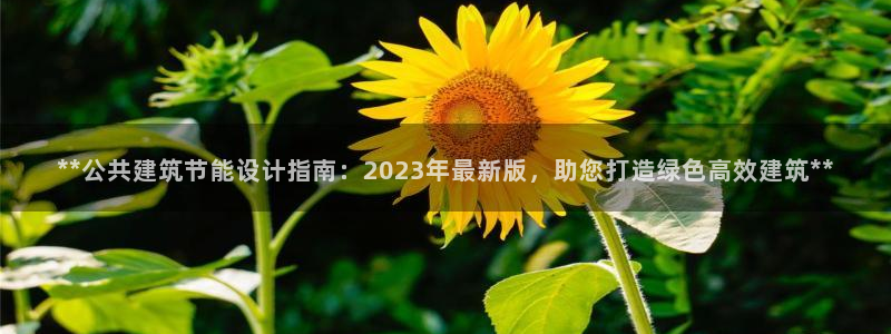 e尊国际娱乐官网下载：**公共建筑节能设计指南：2023年最新版，助您打造绿色高效建筑**