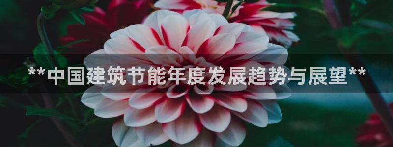 e尊国际平台：**中国建筑节能年度发展趋势与展望**