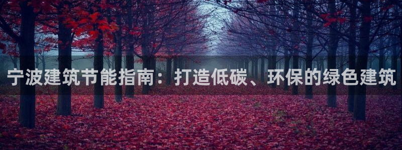 e尊国际是干什么的：宁波建筑节能指南：打造低碳、环保的绿色建筑