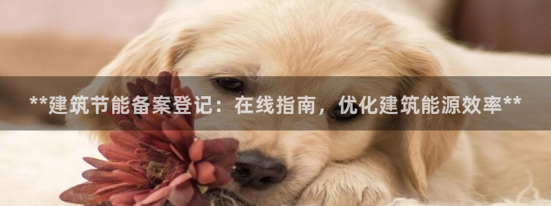 e尊国际客服：**建筑节能备案登记：在线指南，优化建筑能源效率**