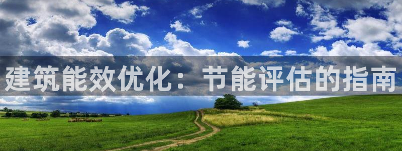 谁知道e尊国际的网址：建筑能效优化：节能评估的指南