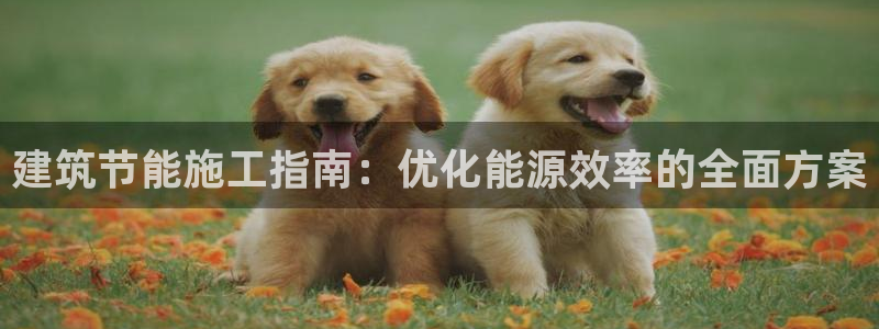 谁知道e尊国际的网址：建筑节能施工指南：优化能源效率的全面方案