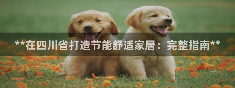 尊亿游戏国际官网：**在四川省打造节能舒适家居：完整指南**