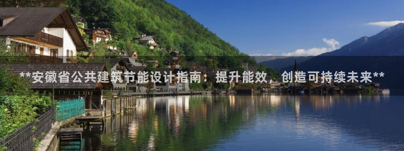 e尊国际客户端：**安徽省公共建筑节能设计指南：提升能效，创造可持续未来**