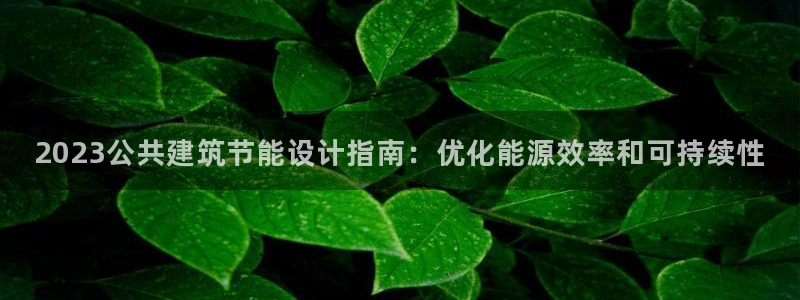 e尊国际官网·网址：2023公共建筑节能设计指南：优化能源效率和可持续性