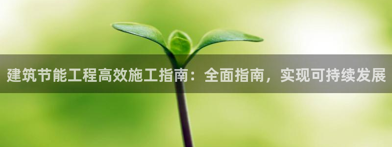 e尊平台：建筑节能工程高效施工指南：全面指南，实现可持续发展