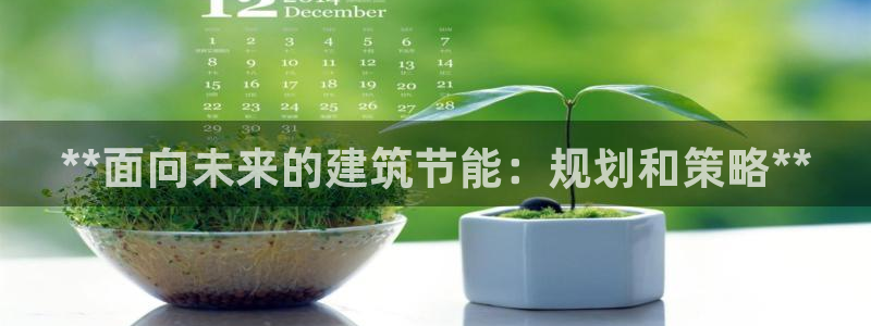 尊亿娱乐国际官网：**面向未来的建筑节能：规划和策略**