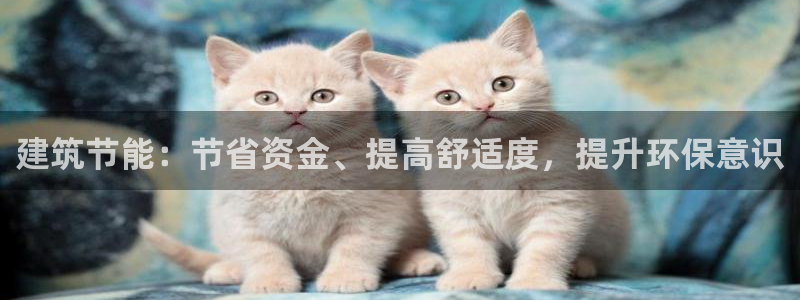 e尊国际是个黑网：建筑节能：节省资金、提高舒适度，提升环保意识