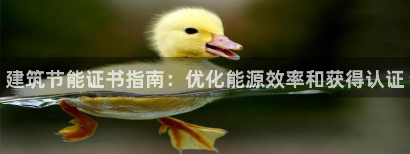 e尊国际客户端：建筑节能证书指南：优化能源效率和获得认证