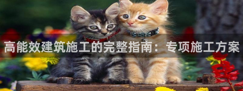 e尊国际-e尊国际官网：高能效建筑施工的完整指南：专项施工方案