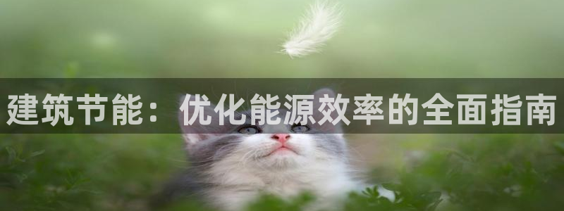e尊国际客户端：建筑节能：优化能源效率的全面指南