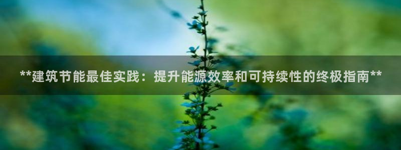 e尊官网：**建筑节能最佳实践：提升能源效率和可持续性的终极指南**