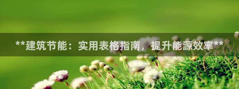 e尊国际是干什么的：**建筑节能：实用表格指南，提升能源效率**