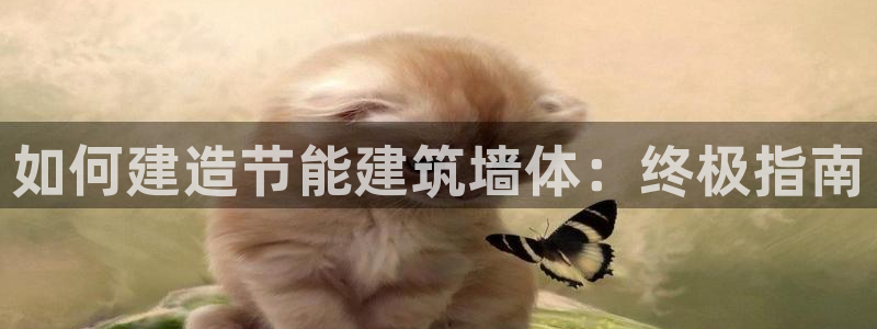 e尊国际客服：如何建造节能建筑墙体：终极指南