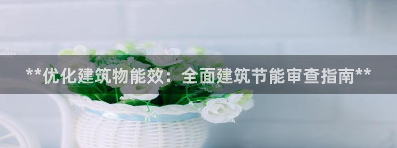 E尊国际网站：**优化建筑物能效：全面建筑节能审查指南**
