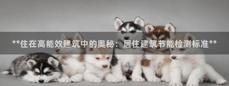 e尊国际-e尊国际官网：**住在高能效建筑中的奥秘：居住建筑节能检测标准**